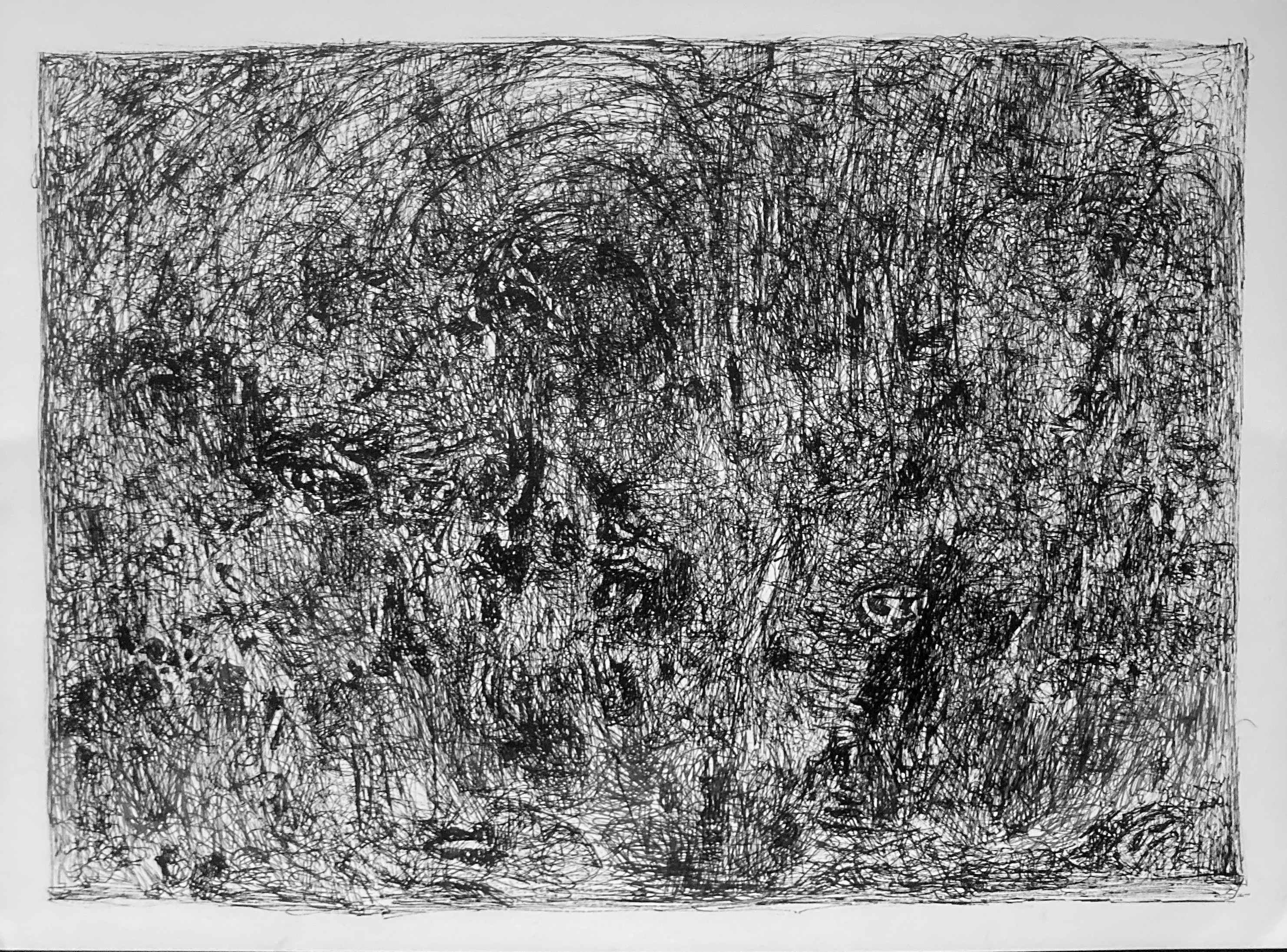Under trees 24 x 33 cms pen and ink on Fabriano paper 2025 £400 (unframed)